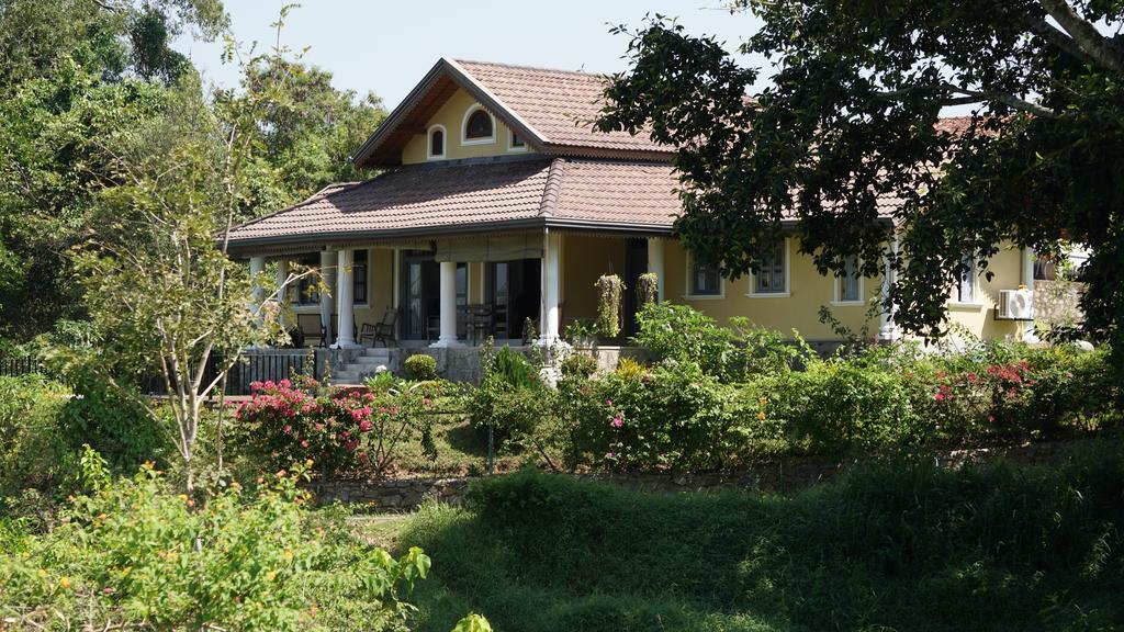 Villa Tee Four Digana Buitenkant foto